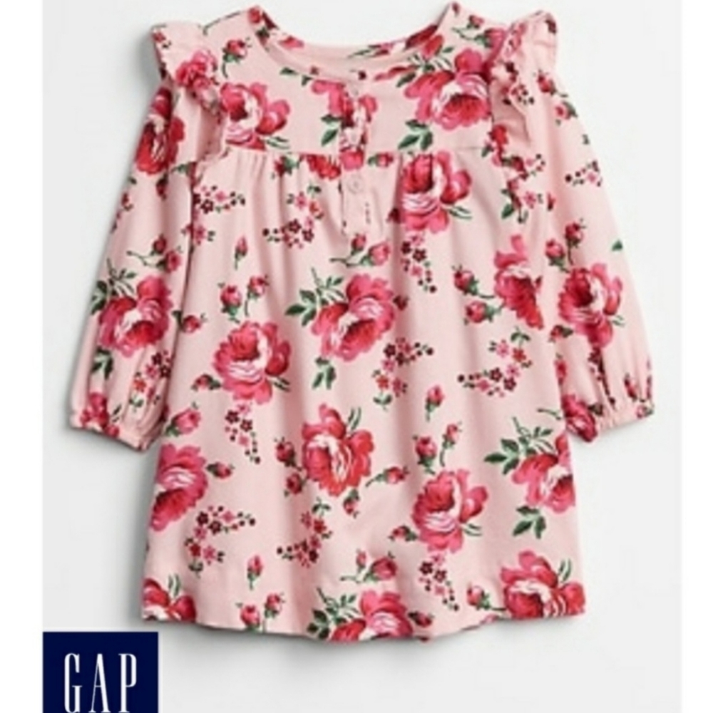 🆕️  Baby Gap Ruffle Floral Print Dress